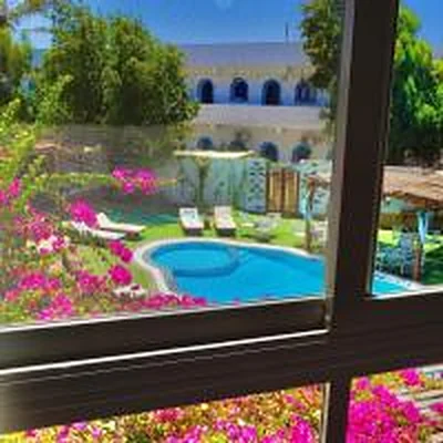 A view through the window, across the pool and garden.